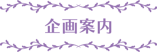 企画案内